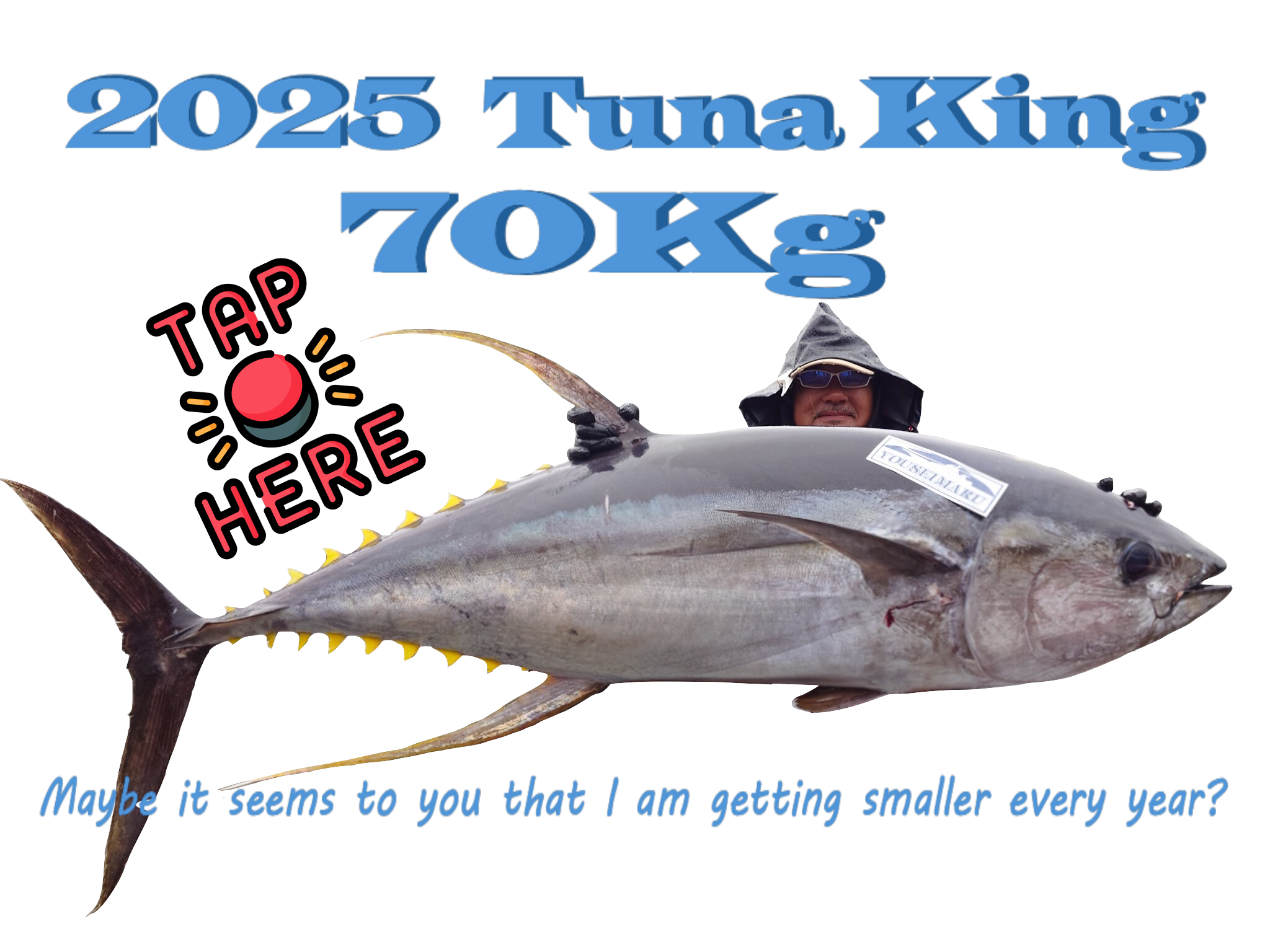 ���q�@���؍`�@�m���ۂ̐��V�[�Y��